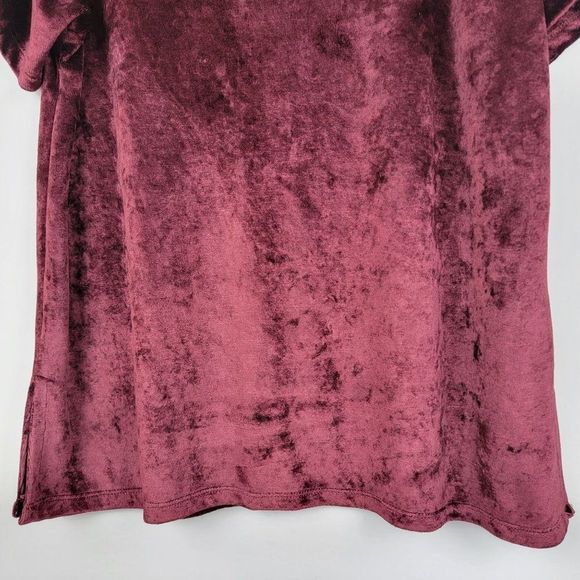 Michael Stars Wine Stretchy Velvet V-Neck Short Sleeves Pullover Top Size L - Picture 4 of 9